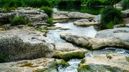 river in the forest with mossy rocks and bushes