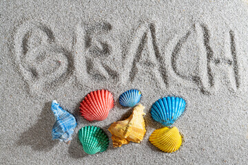 colorful shells on the beach