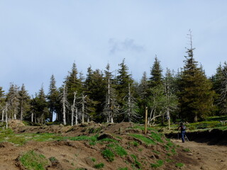 Signal du Luguet (C&eacute;zallier)