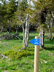 Signal du Luguet (Cézallier)