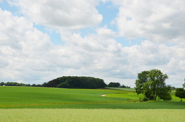 beautiful Bavarian nature, summer landscape