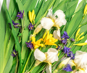 Fresh green leaves , yellow lily buds,white iris flowers,blue bells and dew drops.Beautiful natural background