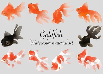 Fotobehang 金魚、水彩表現のイラスト素材セット／Goldfish, watercolor expression illustration material set © yuki_acaraje