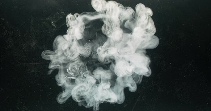 Ink water explosion. Fluid splash. Logo reveal layer. White grey color smoke cloud motion on flaking dark black abstract art background shot on Red Cinema camera 6k.