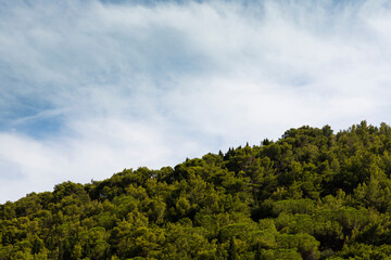 Sky with fluffy clouds over the hill