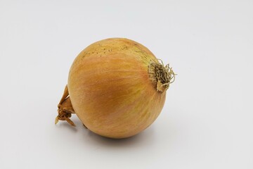 Onion, bulb, food