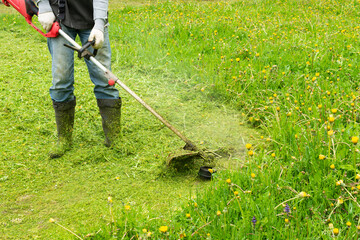 A man mows grass with a trimmer in a meadow.