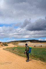 Obraz premium Portrait of camino 