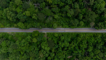 Aerial top view of the the road, Aerial view tropical rain forest with asphalt road cutting...