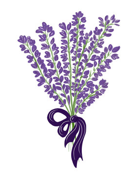 Beautiful bouquet of lavender flowers with purple bow. Romantic fresh design for the wedding.