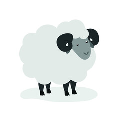 The gray sheep stands on its paws