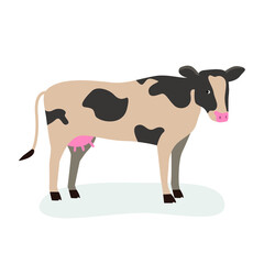 Spotted cow standing on hooves