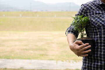 The young man's hands are planting young seedlings on fertile ground, taking care of growing plants. World environment day concept, protecting nature