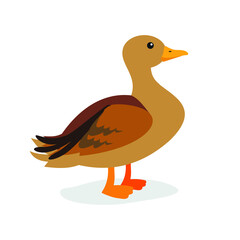 Brown duck stands on its paws