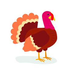 Red turkey stands on its paws