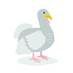 Gray turkey stands on its paws