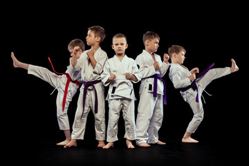 Group portrait of preschool age boys, beginner karate fighters in white doboks posing like team...