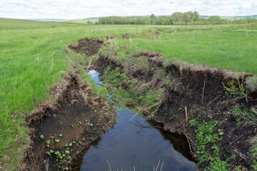 Deep ravine, beam in the meadow. Water erosion of the soil.