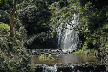 Waterfall at greenery forest of West Java, Indonesia. 