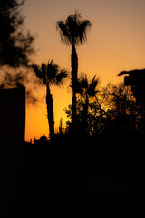 Silhouettes, photograph taken against light at sunset time in La Manga del Mar Menor, Murcia, Spain
