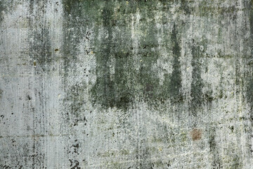 Abstract grungy white wall background with green patches
