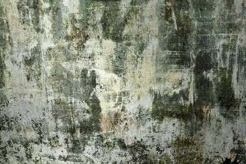 Obraz premium Abstract grungy white wall background with green patches