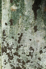 Abstract grungy white wall background with green patches