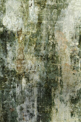 Abstract grungy white wall background with green patches