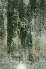 Abstract grungy white wall background with green patches