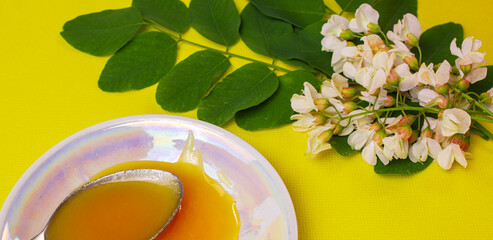 acacia honey on a yellow background with acacia flowers