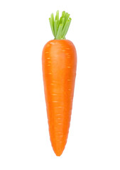 carrot isolated on white background