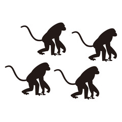 monkey set icon vector illustration symbol