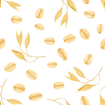 Oats seamless pattern. Vector ears of oats and flakes on white. Background with agricultural plant and grains. Cartoon illustration.