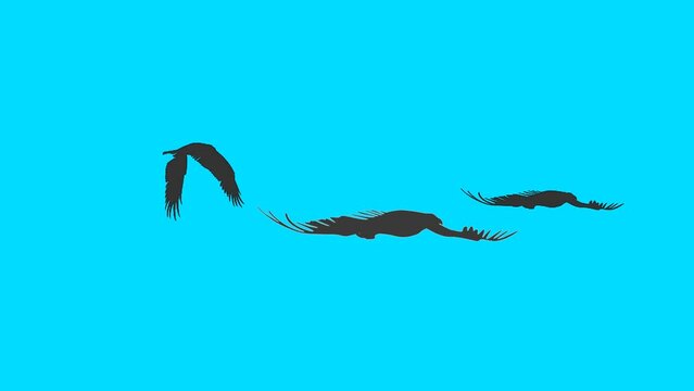 Silhouettes of the flying eagles, animation on the blue background (seamless loop)