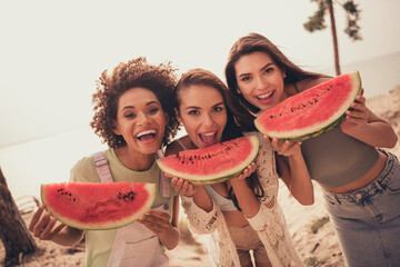 Portrait of beautiful cheerful girls group spending day chill out eating water melon having fun at...
