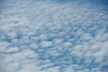 cirrocumulus clouds in the sky