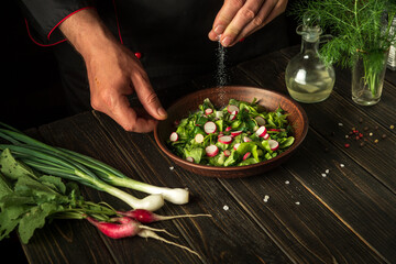 Professional chef sprinkles salt on fresh vegetable salad in a plate. Cooking healthy food in the kitchen. Vegetarian cuisine.