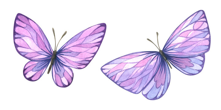 Lilac butterflies with graphic elements, stylized. Two objects isolated, watercolor from a large Lavender SPA set. For decoration and design, compositions of postcards, posters, stickers.