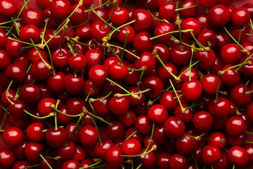 Macro photo fresh cherry. Stock photo background sweet cherry