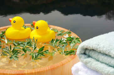 アヒル兄弟の入浴