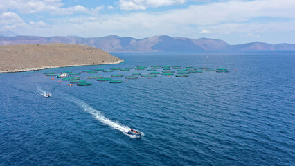 Aerial drone photo of fish farming unit of sea bass and sea bream with round net cages in Anemokambi bay area near Galaxidi, Greece