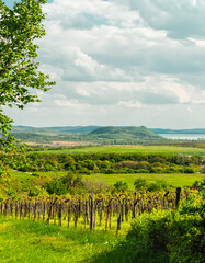 Fototapeta na wymiar Spring view of the Tihany peninsula from Balatonfüred.
