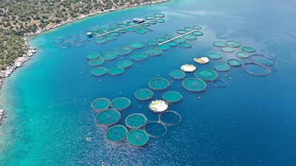 Foto op Canvas Aerial drone photo of sea bass and sea bream fishery or fish farming unit in Mediterranean calm deep blue sea © aerial-drone