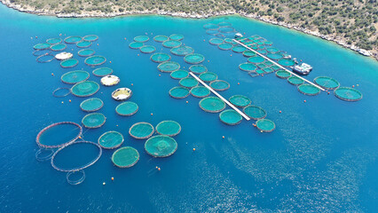 Aerial drone photo of fish farming unit of sea bass and sea bream with round net cages in Anemokambi bay area near Galaxidi, Greece