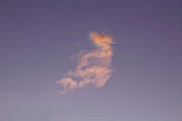 Dragon nube