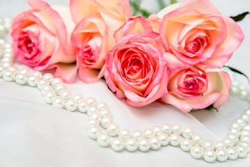 The branch of pink rose on white fabric background
