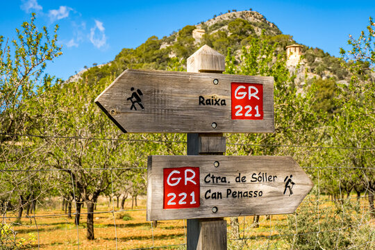Signpost at hiking route GR221 along almond tree plantation nearby Bunyola pointing in the direction of Raixa manor and Ctra. de S&oacute;ller over the stop Can Penasso with Sa Muntanyeta in the background