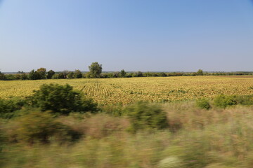 ハンガリー旅行記