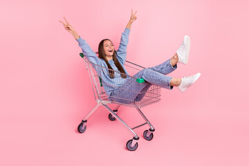 Full length body size view of attractive crazy cheery girl showing v-sign riding cart isolated over pink pastel color background