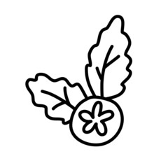 Aronia berry, chokeberry. Vector doodle drawing.